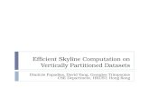 Efficient Skyline Computation on Vertically Partitioned Datasets