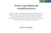 Post-translational modifications