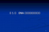 第 1 章  DNA 重组克隆的单元操作