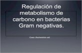 Regulación de metabolismo de carbono en bacterias Gram negativas