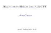 Heavy ion collisions and AdS/CFT