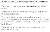Water Balance, Thermoregulation and Excretion