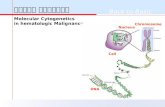 혈액종양의 분자세포유전학 Molecular Cytogenetics  in hematologic Malignancy