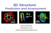 3D Structure Prediction and Assessment
