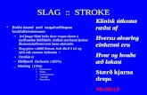 SLAG  ::   STROKE