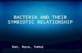 BACTERIA AND THEIR SYMBIOTIC RELATIONSHIP