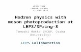 Hadron physics with meson photoproduction at LEPS/SPring-8