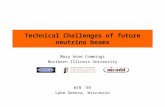 Technical Challenges of future neutrino beams