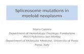 Spliceosome mutations in myeloid neoplasms
