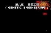 第八章    基因工程  （ GENETIC  ENGINEERING ）