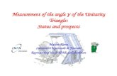 Measurement of the angle  g  of the Unitarity Triangle: Status and prospects