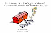 Biotechnology Toolbox for Synthetic Biology