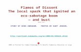 Flames of Dissent  The local spark that ignited an  eco-sabotage boom  — and bust  part iii.