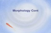 Morphology Cont