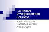 Language Divergences and Solutions