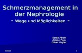 Schmerzmanagement in der Nephrologie  -  Wege und Möglichkeiten  -