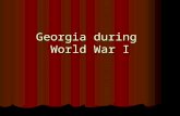 Georgia during  World War I
