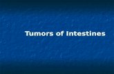 Tumors of Intestine s