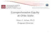 Comprehensive Equity  at Ohio State