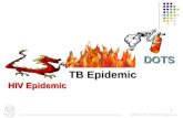 TB Epidemic