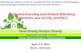 Radiative Forcing and Global Warming Potentials due to CH 4  and N 2 O