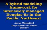 A hybrid modeling framework for intensively managed Douglas-fir in the Pacific Northwest