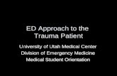 ED Approach to the  Trauma Patient