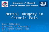 Mental Imagery in Chronic Pain
