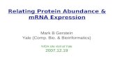 Relating Protein Abundance & mRNA Expression