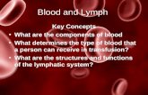 Blood and Lymph