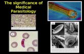 The significance of Medical Parasitology
