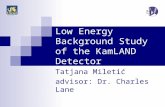 Low Energy Background Study of the KamLAND Detector