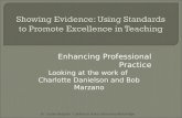 Showing Evidence: Using Standards to Promote Excellence in Teaching