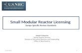 Small Modular Reactor Licensing  Design Specific Review Standards