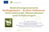 Bedrohungsszenario  Geflügelpest - Aviäre Influenza Internationale Massnahmen und Erfahrungen