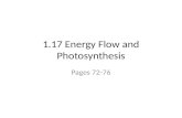 1.17 Energy Flow and Photosynthesis