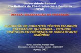 Universidade Federal Pró-Reitoria de Pós-Graduação e Pesquisa NPGQ DEFESA: DISSERTAÇÃO DO MESTRADO