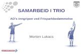 SAMARBEID I TRIO AD's inngripen ved Frisparkbedømmelse