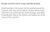 Ocean currents move ocean animals around. Small animals in the ocean can be pushed around by
