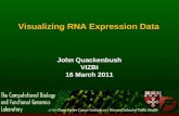 Visualizing RNA Expression Data