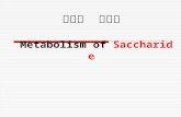 第九章  糖代谢 Metabolism of  Saccharide