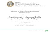 SIBE S.r.l. Sistemi Innovativi Biomasse Energetiche