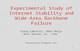 Experimental Study of Internet Stability and Wide-Area Backbone Failure