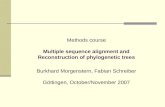 Tools for multiple sequence alignment