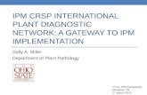 IPM CRSP International Plant Diagnostic Network: A Gateway to IPM Implementation
