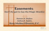 Easements :  Don ’ t Forget to Say the Magic Word(s)