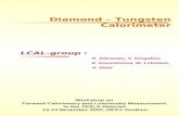 Diamond – Tungsten Calorimeter