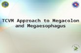 TCVM Approach to Megacolon and Megaesophagus