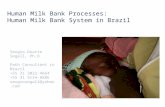 Human Milk Bank Processes:  Human Milk Bank System in Brazil