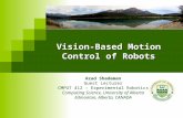 Vision-Based Motion Control of Robots
